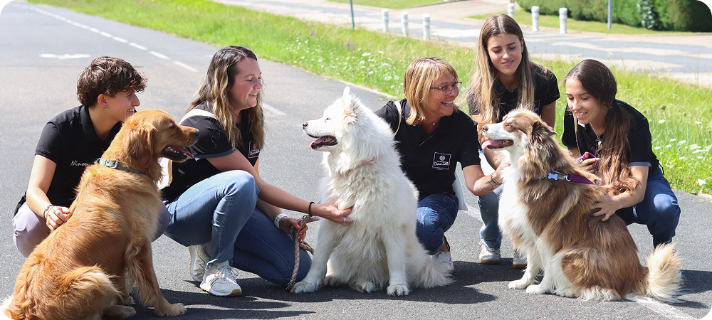 Une équipe de passionnés au service de vos compagnons